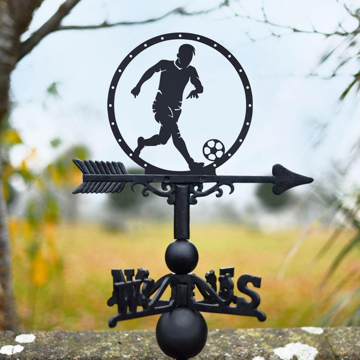 Football Weathervane insitu 