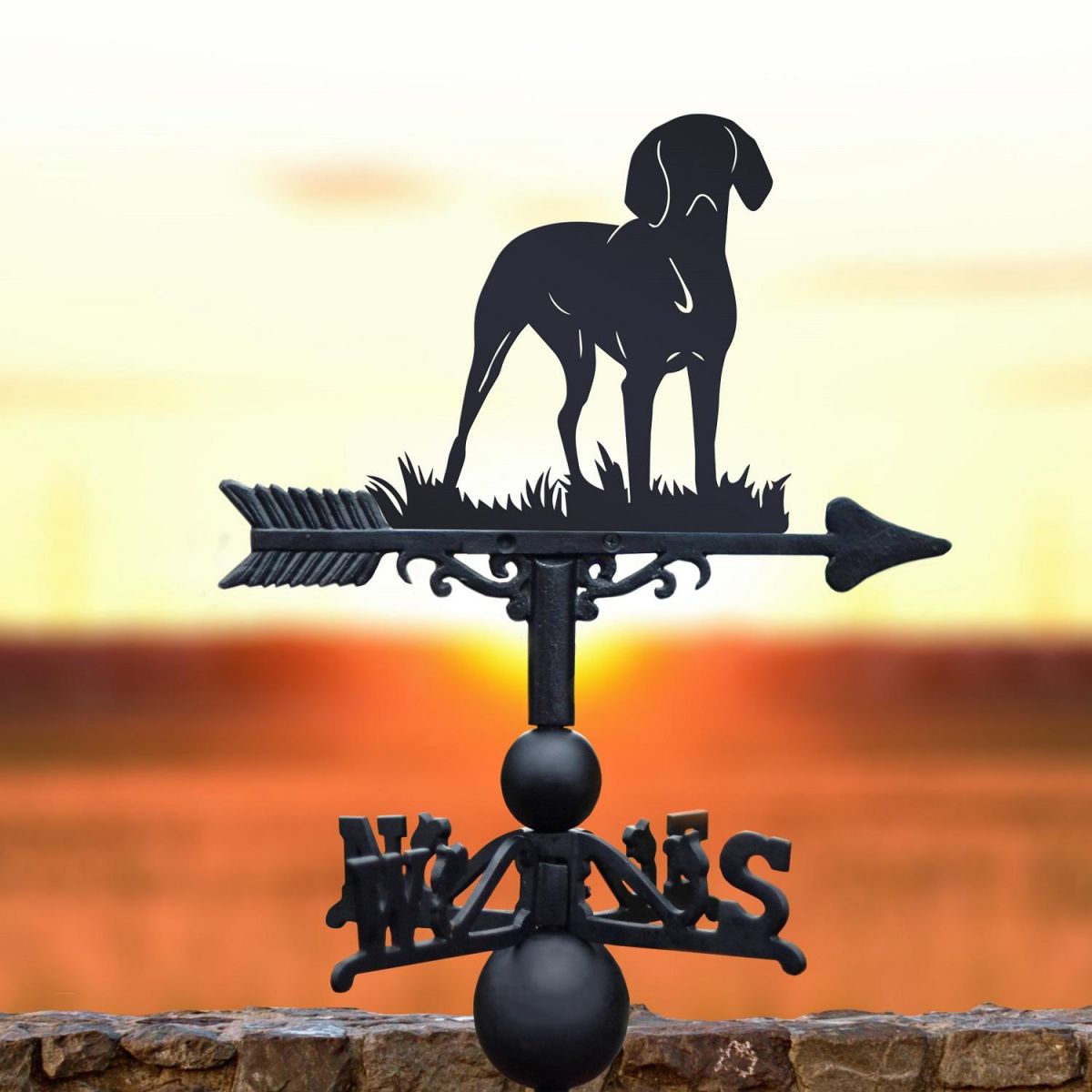 Weathervane of Hungarian Vizsla 
