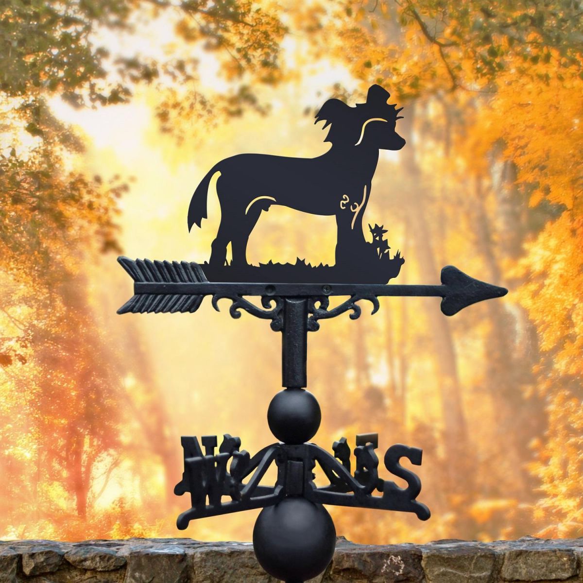 Weathervane with Chinese Crested Dog 