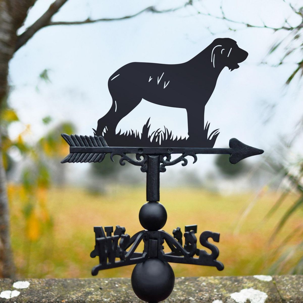 Black Weathervane with Italian Spinone Design 