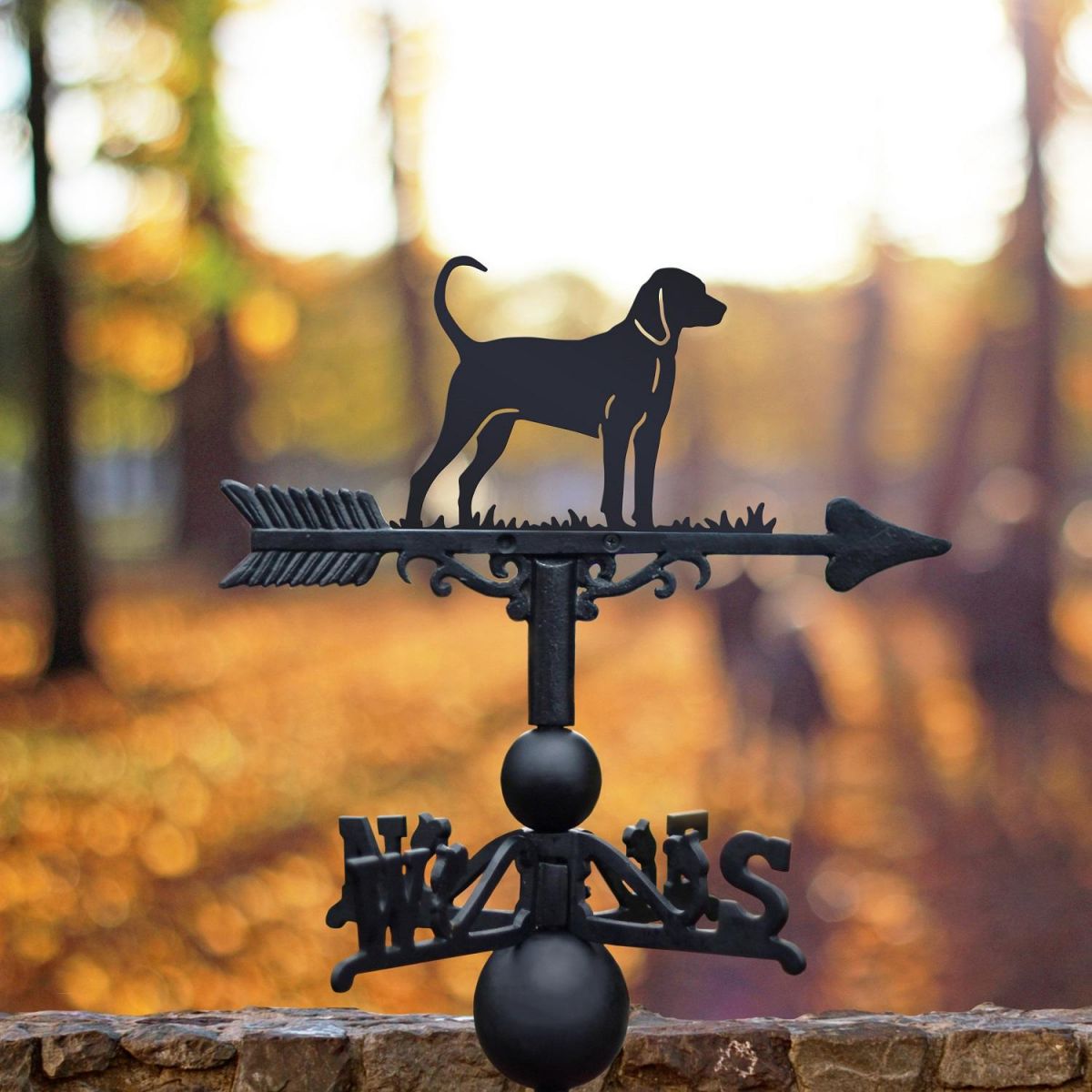 Black Weathervane with Black & Tan Coonhound Dog Design