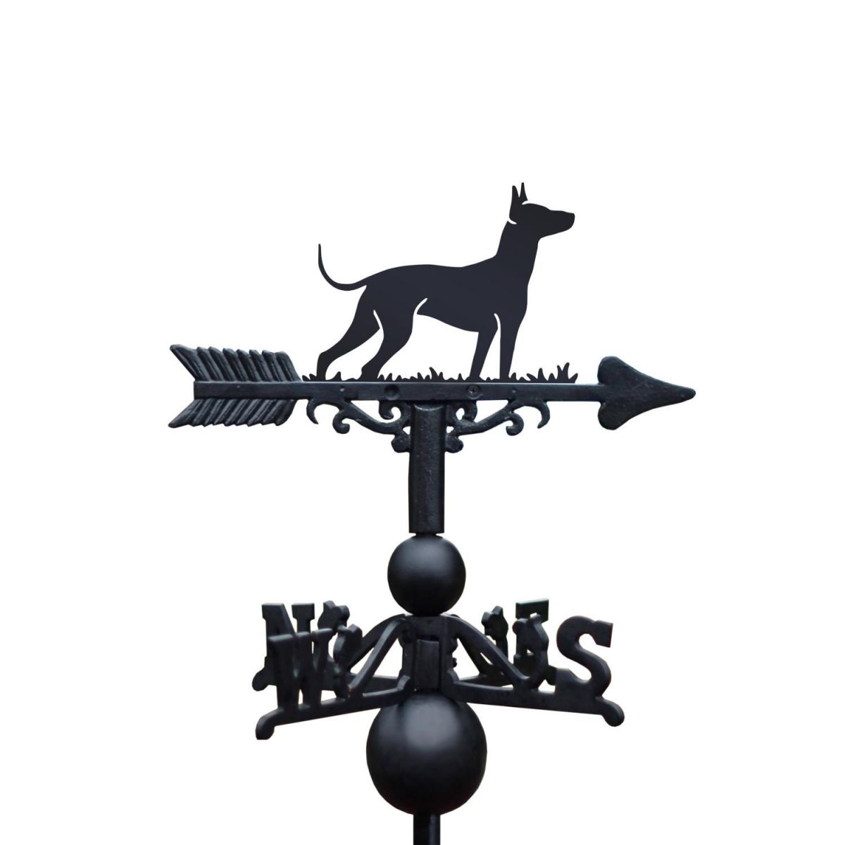 Cast Iron & Steel Xoloitzcuintli Dog Weathervane on White Background