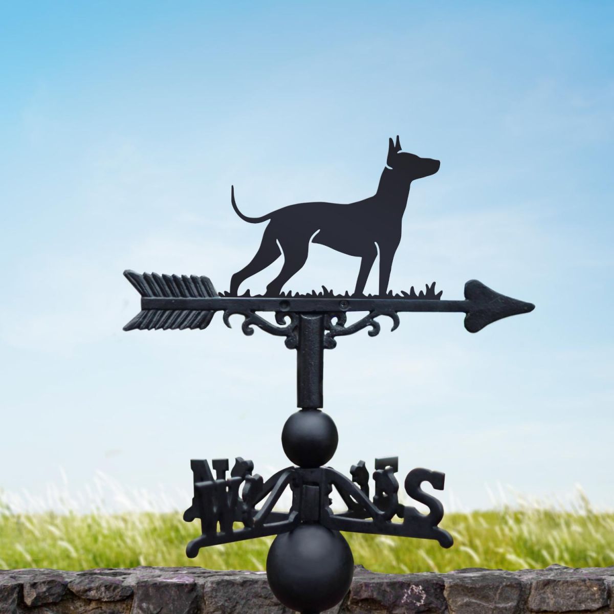 Cast Iron & Steel Xoloitzcuintli Dog Weathervane in Situ