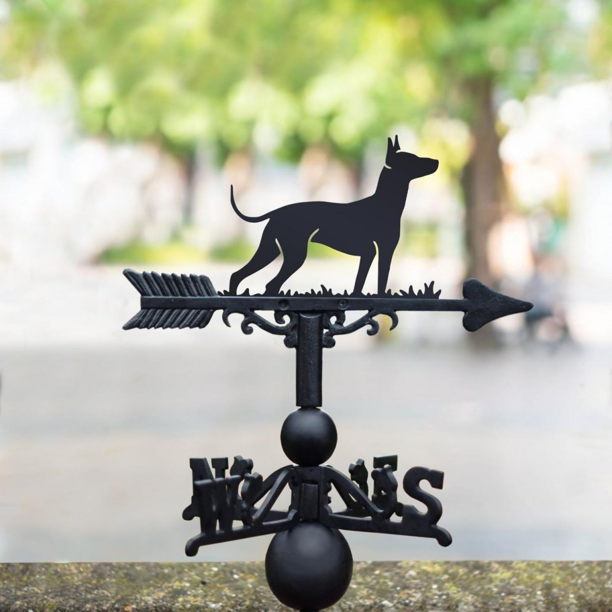 Cast Iron & Steel Xoloitzcuintli Dog Weathervane