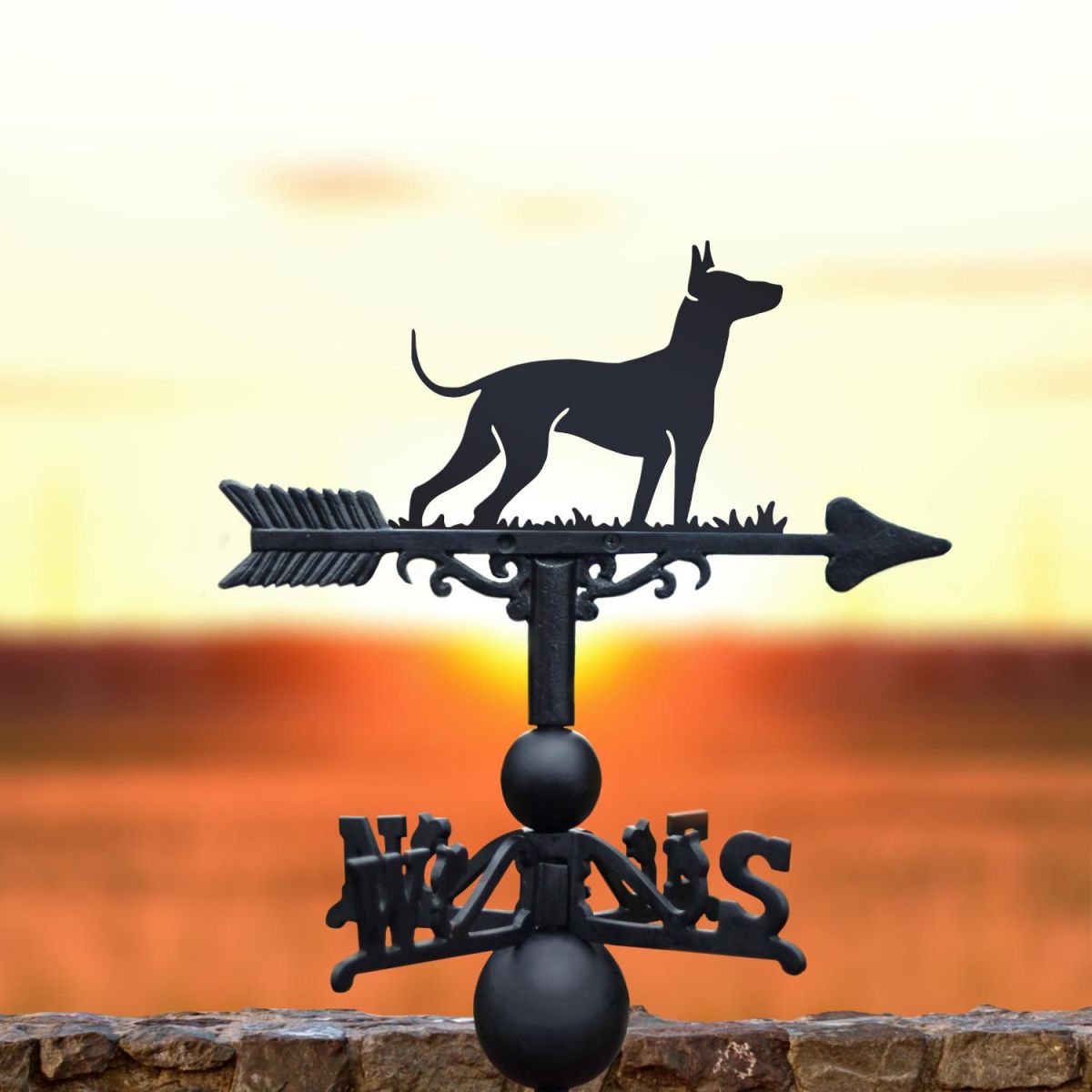 Xoloitzcuintli Dog Weathervane in Situ