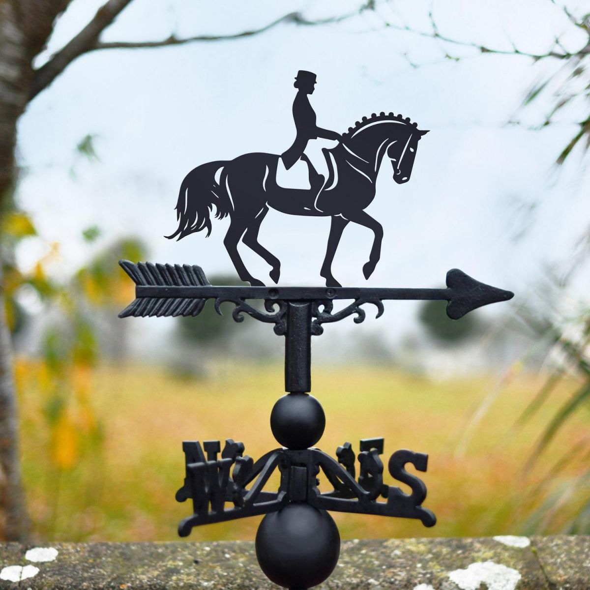 Weathervane with Dressage Horse 