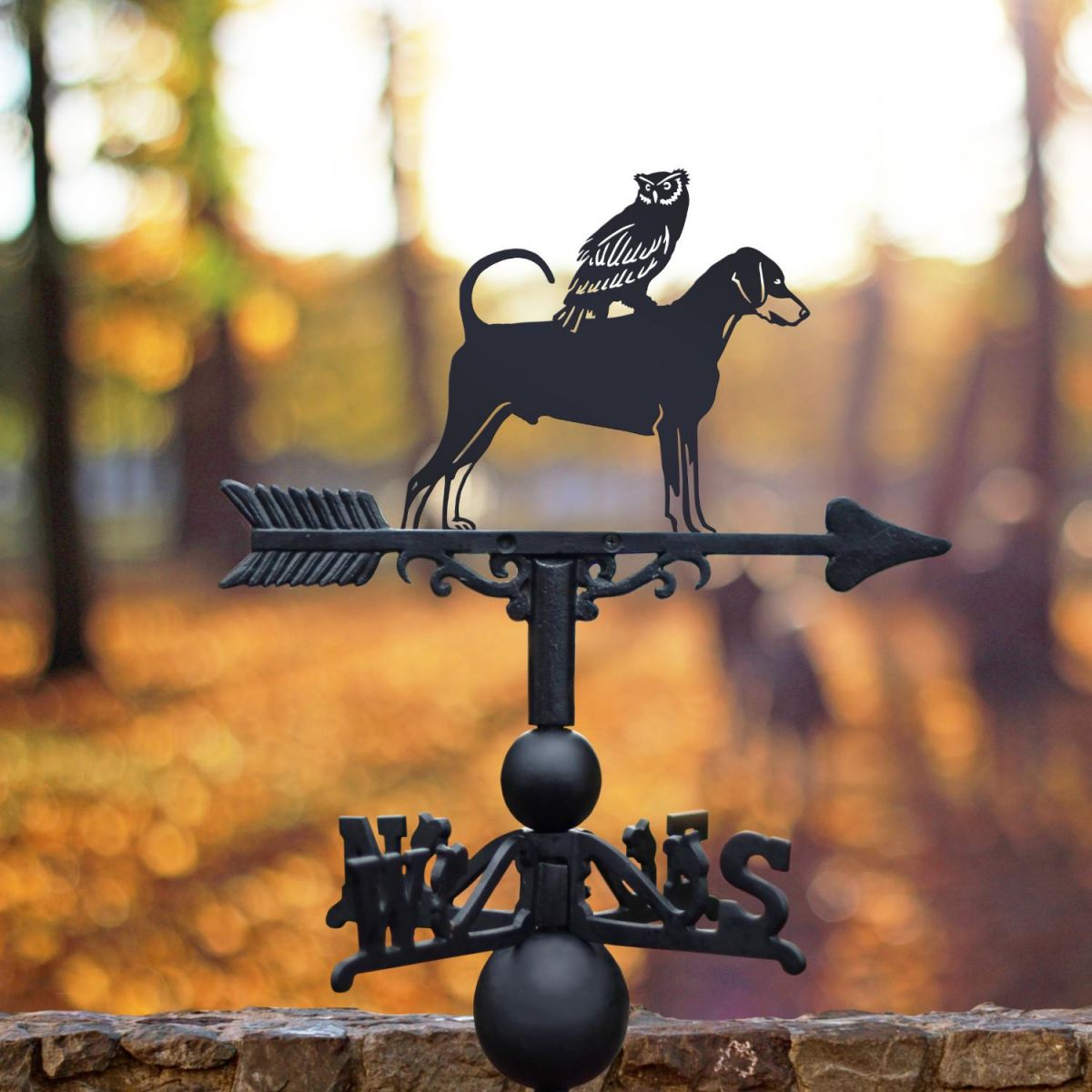 Cast Iron & Steel Dobermann & Owl Weathervane 