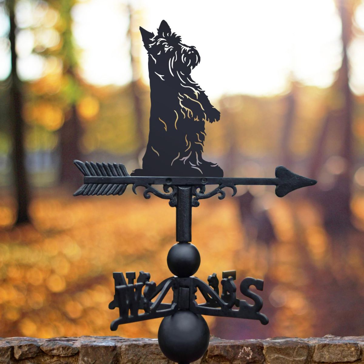 Scottish Terrier Weathervane at Sunset