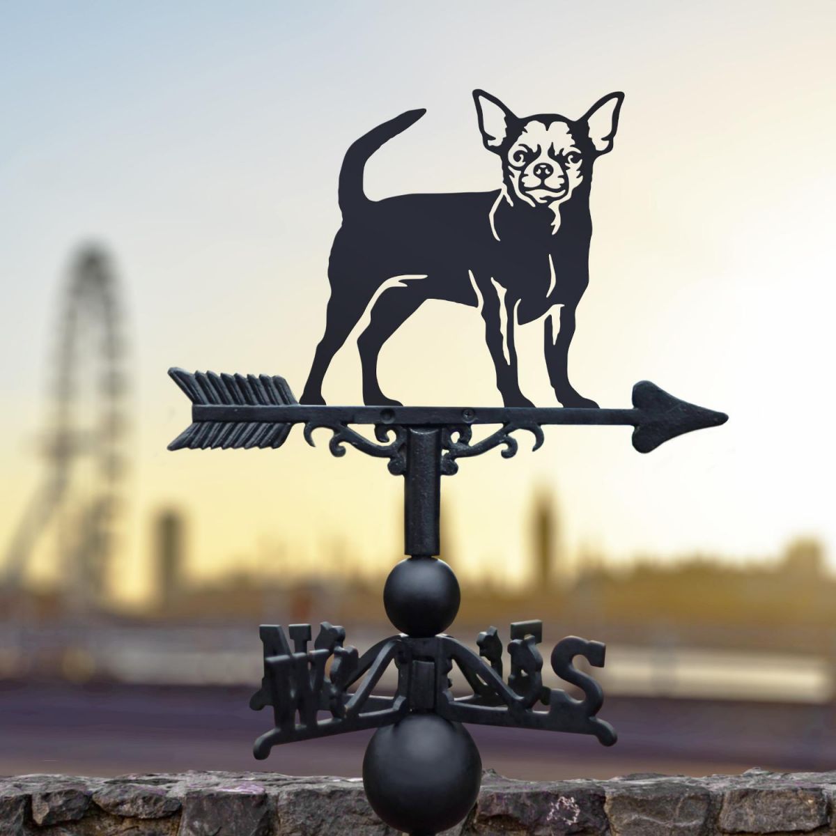 Chihuahua Weathervane in Location
