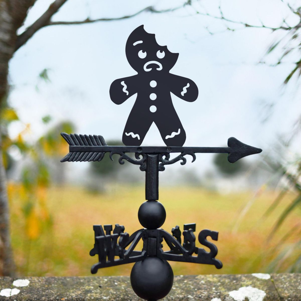 Bitten Gingerbread Man Weathervane in Situ