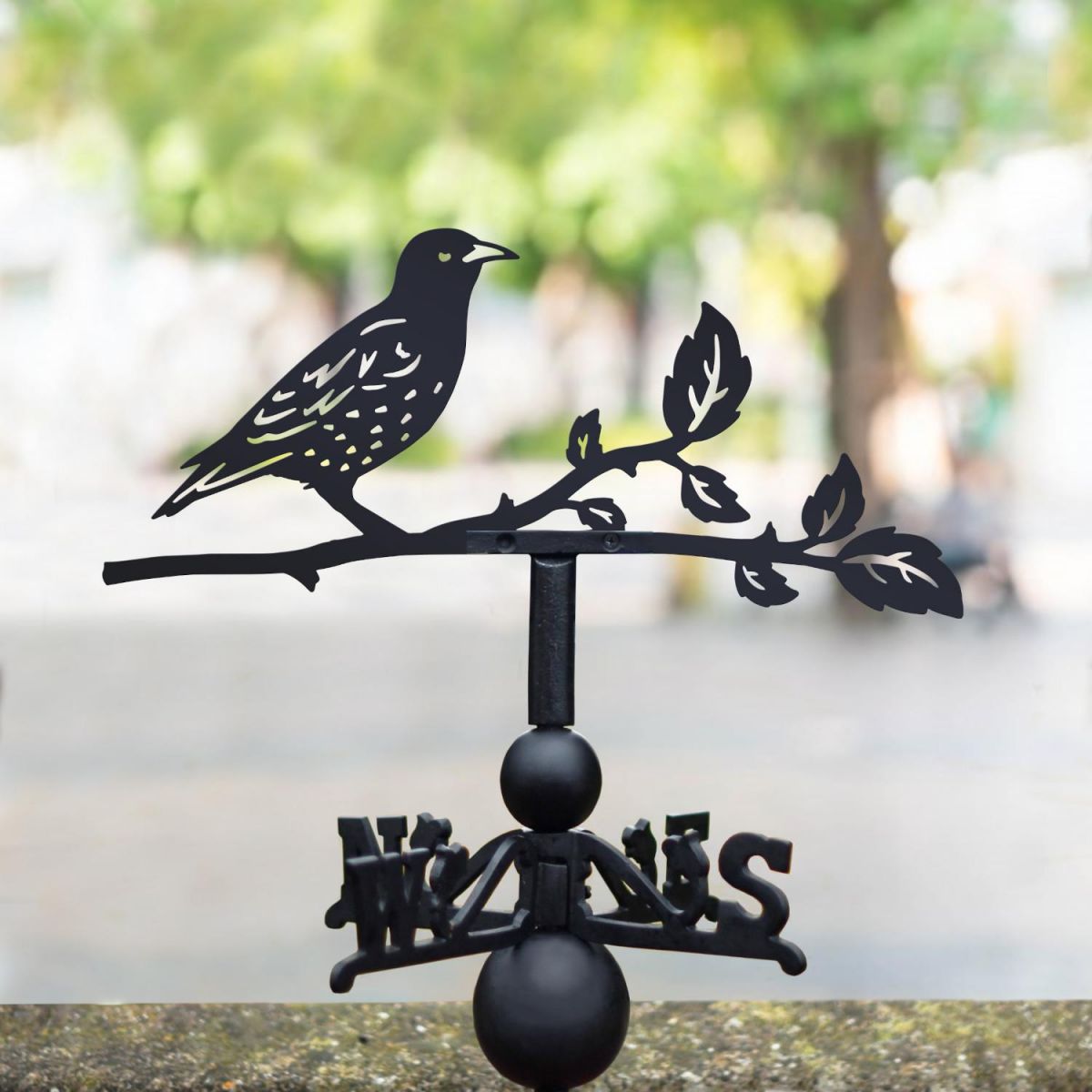 Starling Weathervane in Location