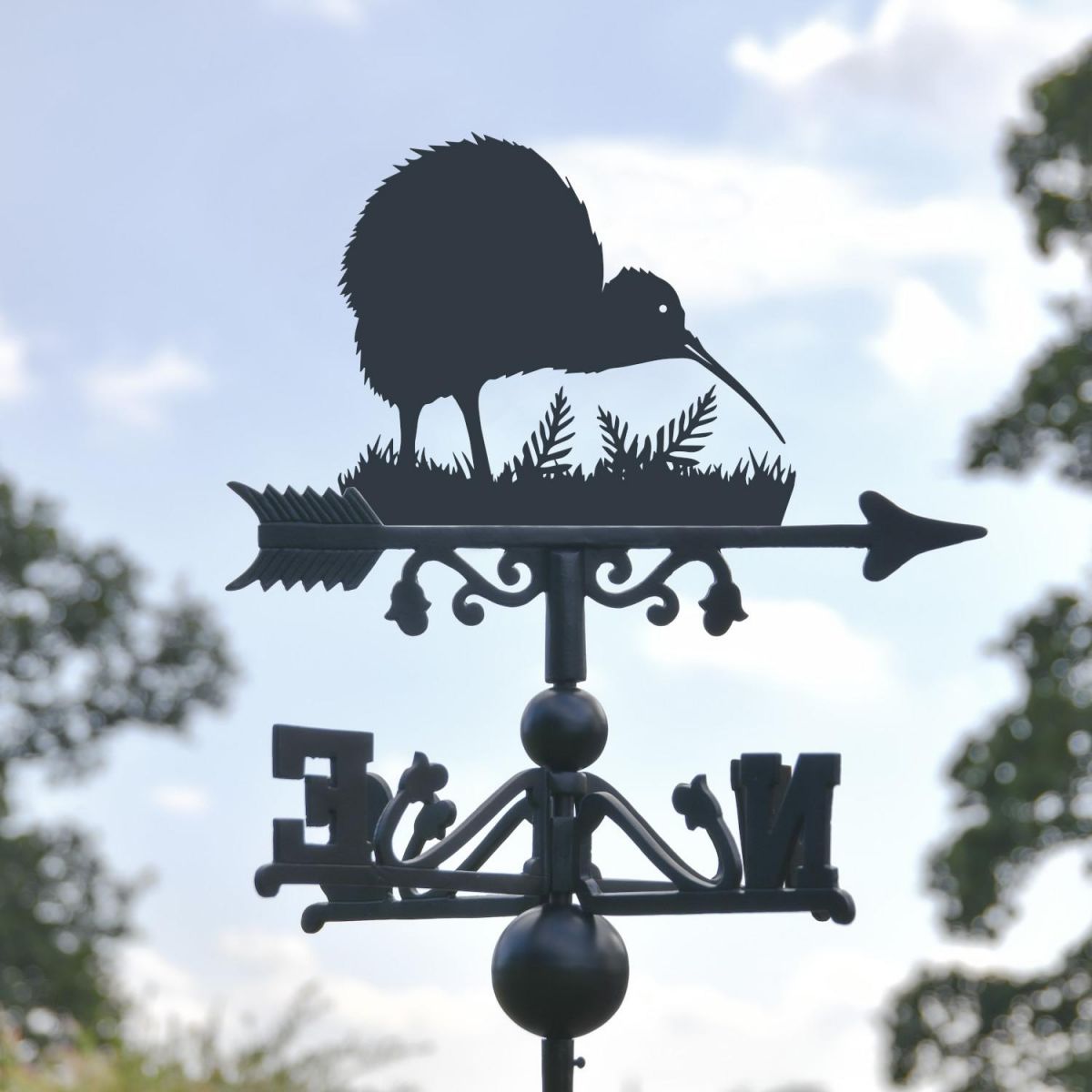 Close-Up of Kiwi Bird Topper