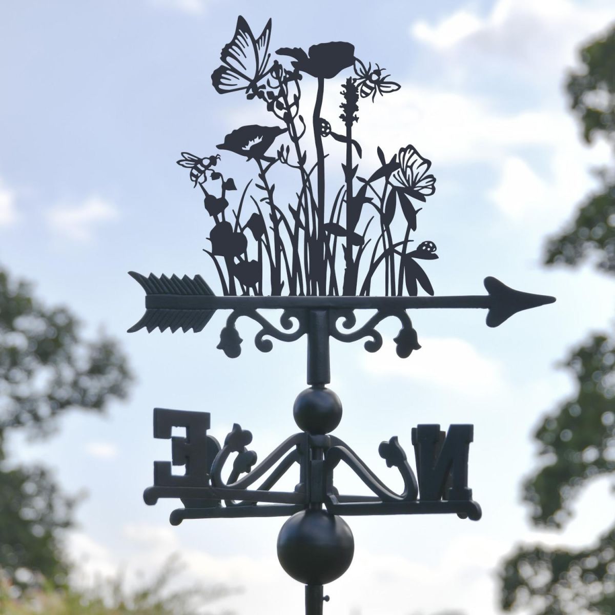 Close-Up of Meadow Topper