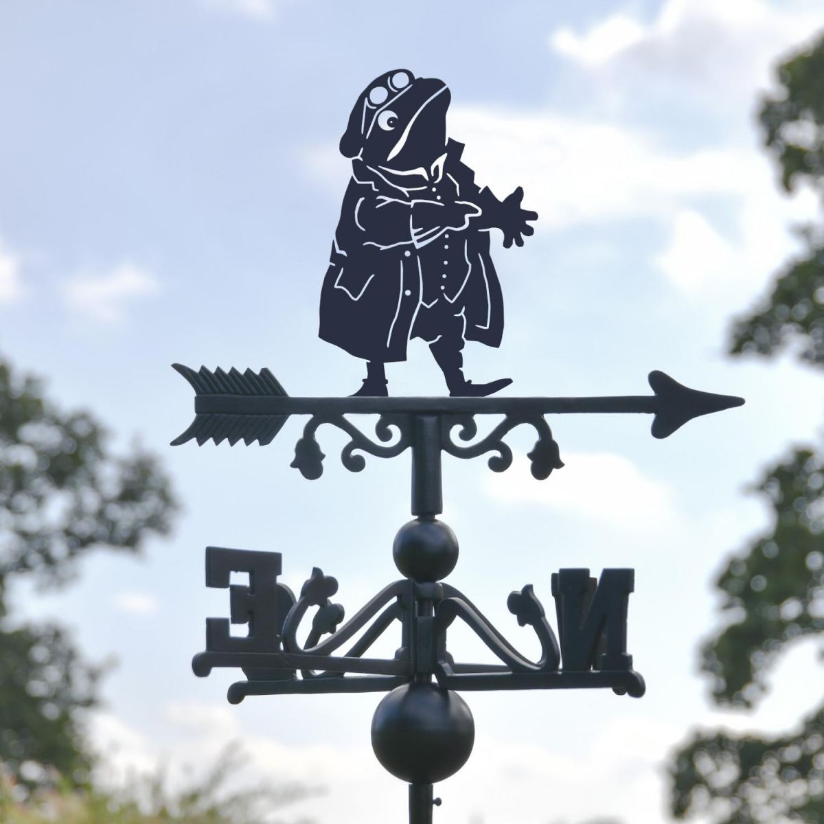 Close-Up of Mr Toad Topper