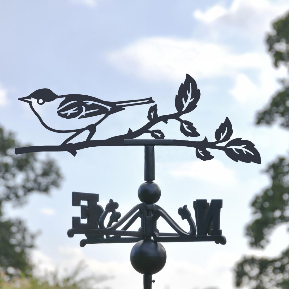 Close-up of Blackcap Topper