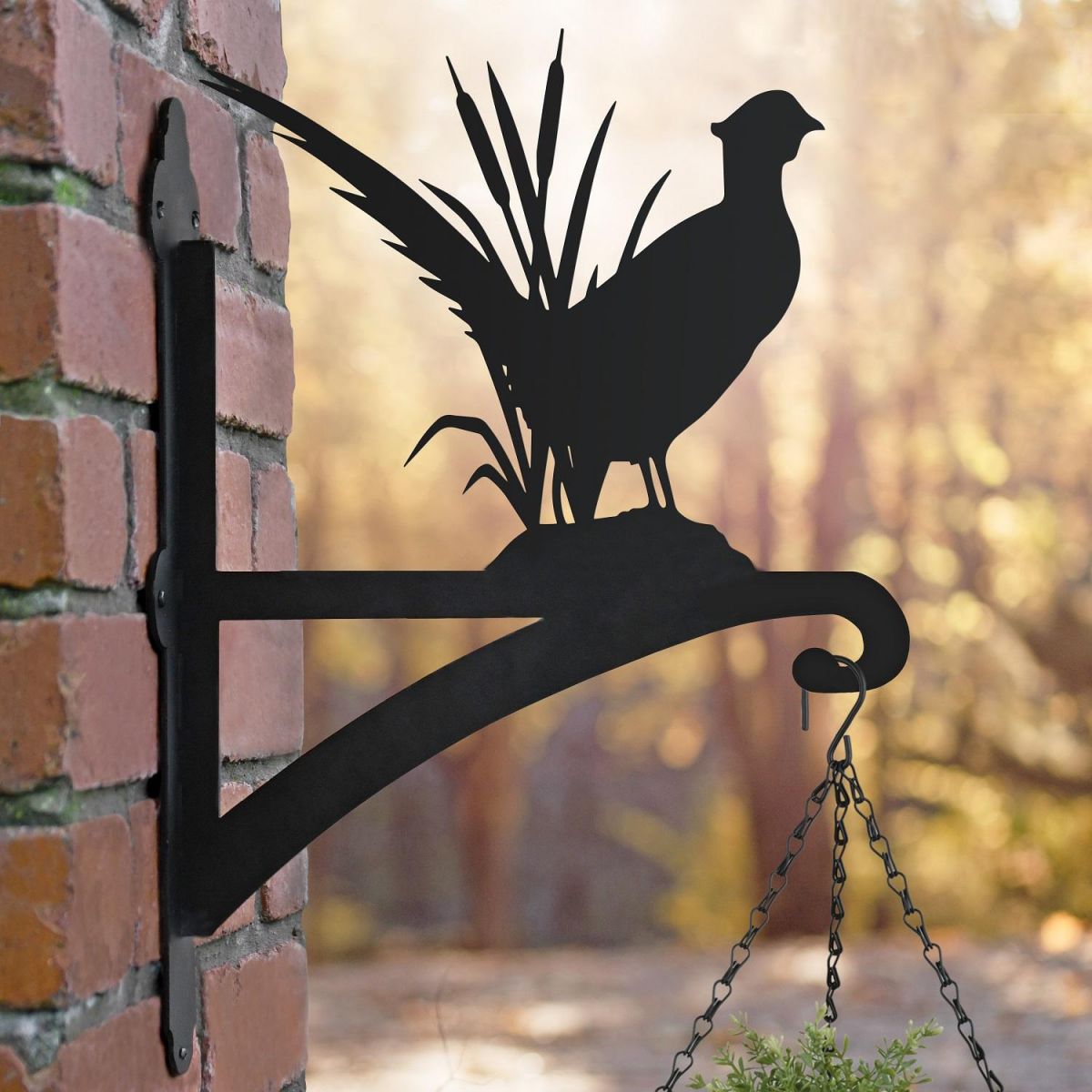 Pheasant Hanging Basket Bracket