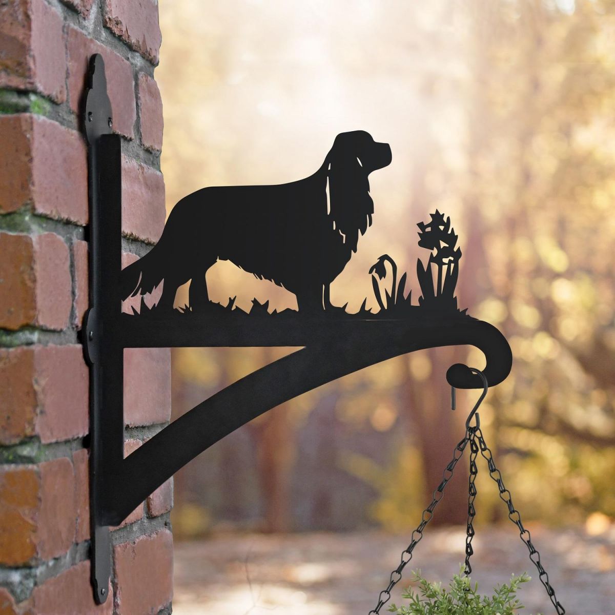 Cavalier King Charles Basket Bracket 