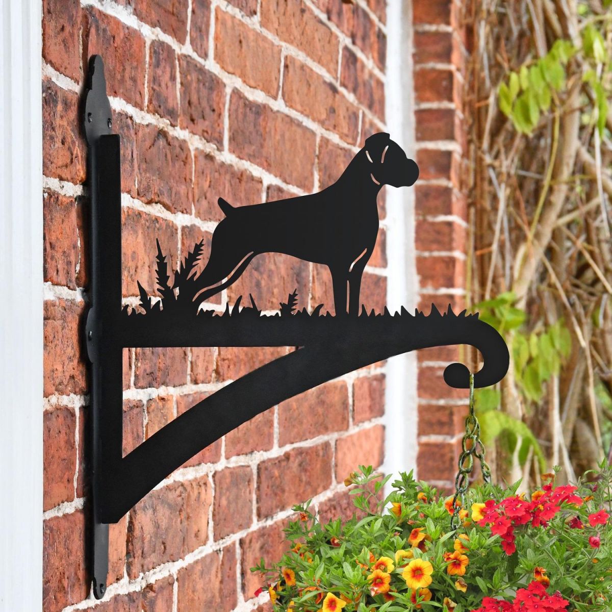 "Boxer" Iron Hanging Basket Bracket in Situ 