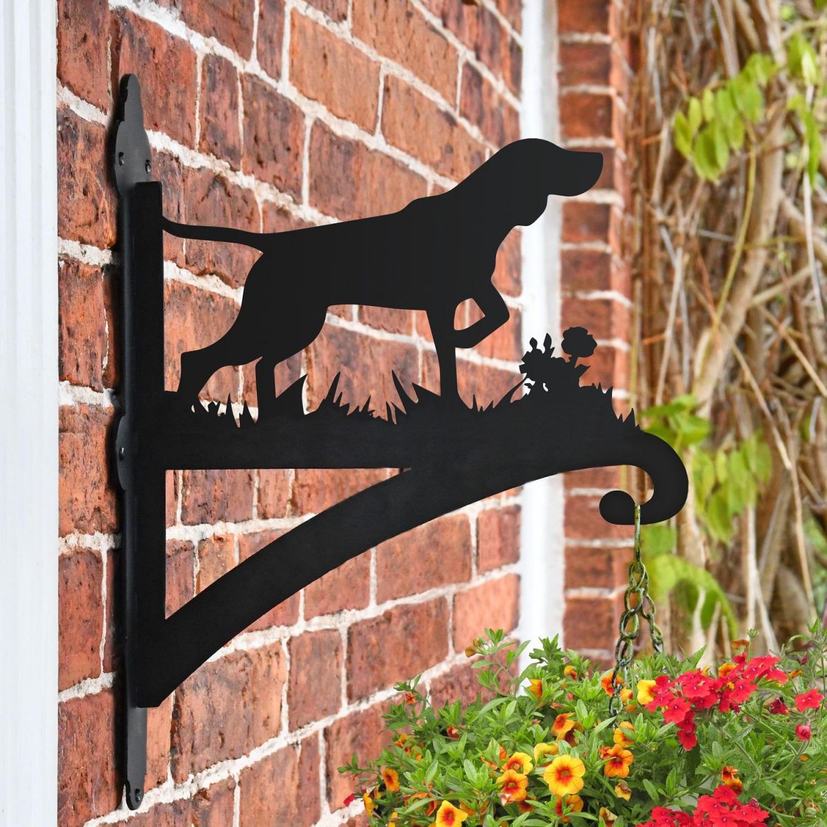 German Shorthaired Pointer Dog Hanging Basket Bracket in Situ on a Brick Wall