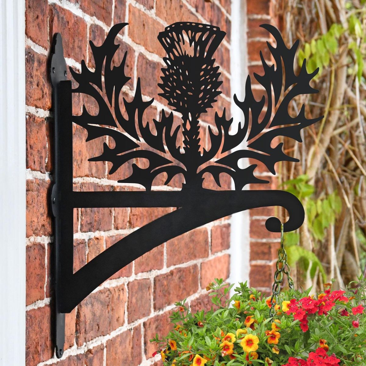 Thistle Hanging Basket Bracket 