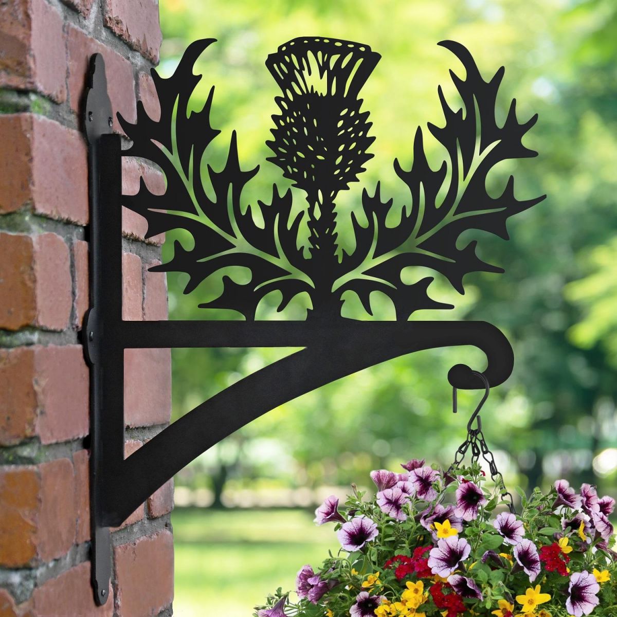 Thistle Hanging Basket Bracket on a Brick Wall