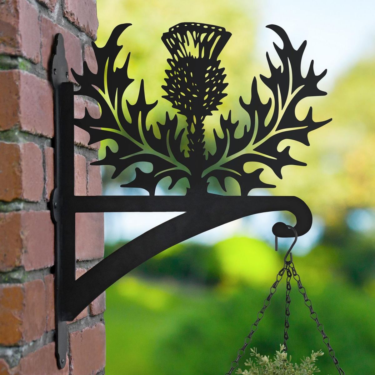 Thistle Hanging Basket Bracket in Garden