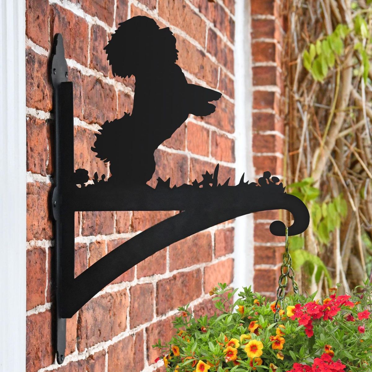 Bichon Frise Dog Hanging Basket Bracket in Situ on a Brick Wall
