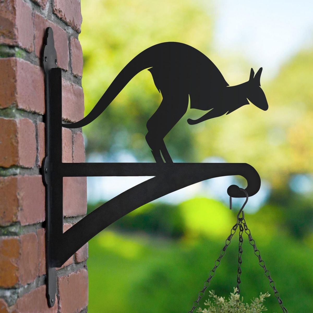 Side View of the Kangaroo Hanging in Situ