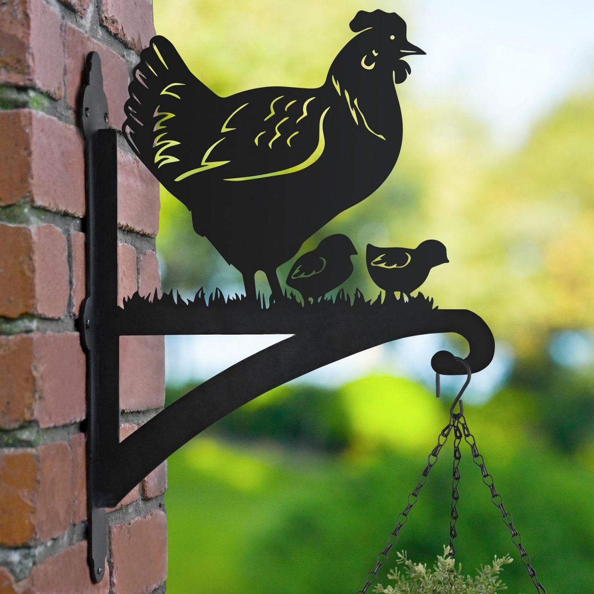 Hen & Chicks Hanging Basket Bracket in Garden