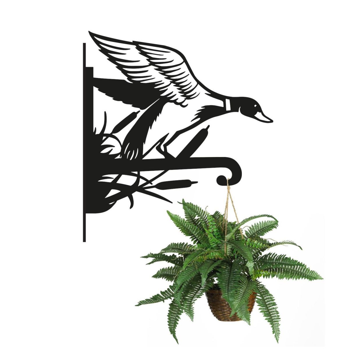 White Background Mallard Hanging Basket Bracket with Planter