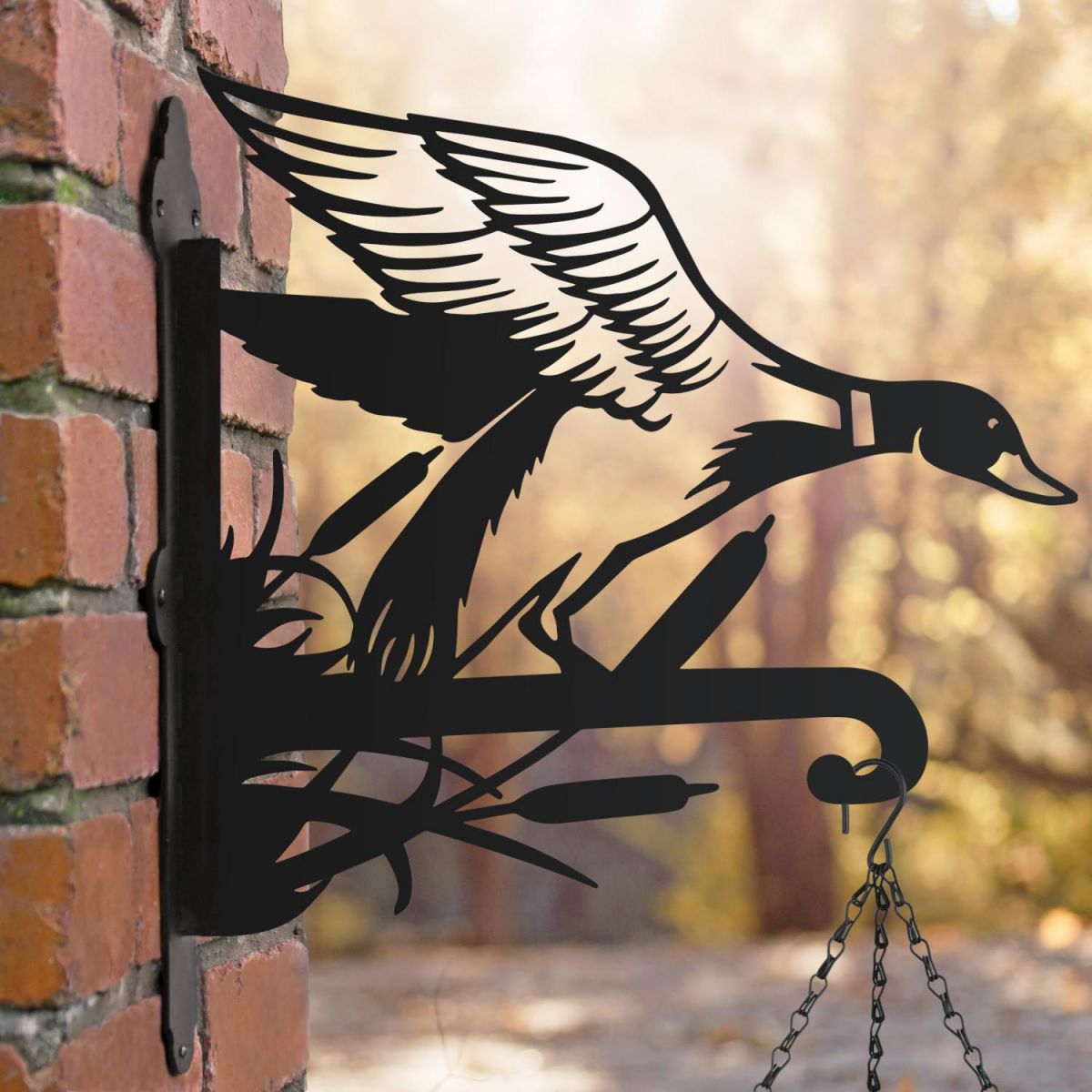 Mallard Hanging Basket Bracket at Sunset