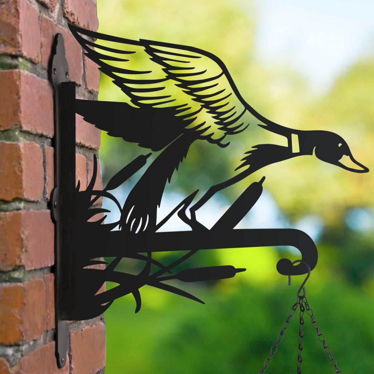 Mallard Hanging Basket Bracket 