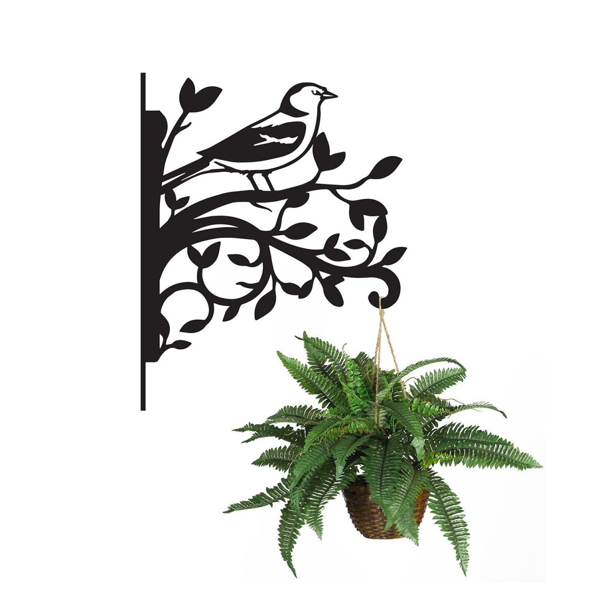 Chaffinch Hanging Basket Bracket on white background with hanging plant 