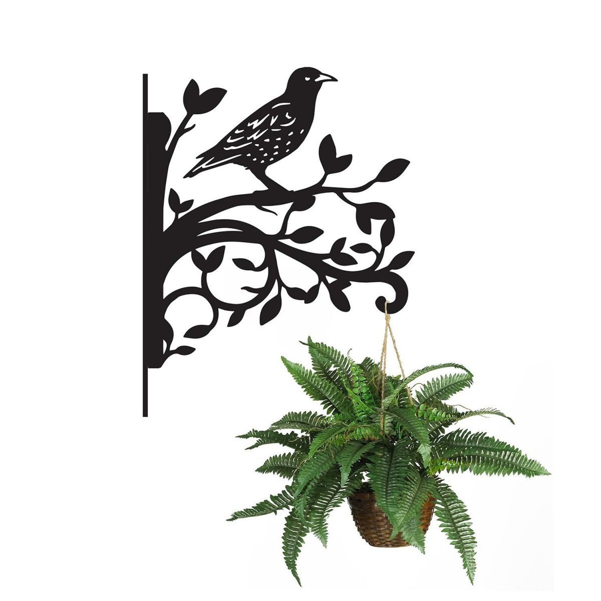 Starling Hanging Basket Bracket on white background with hanging plant