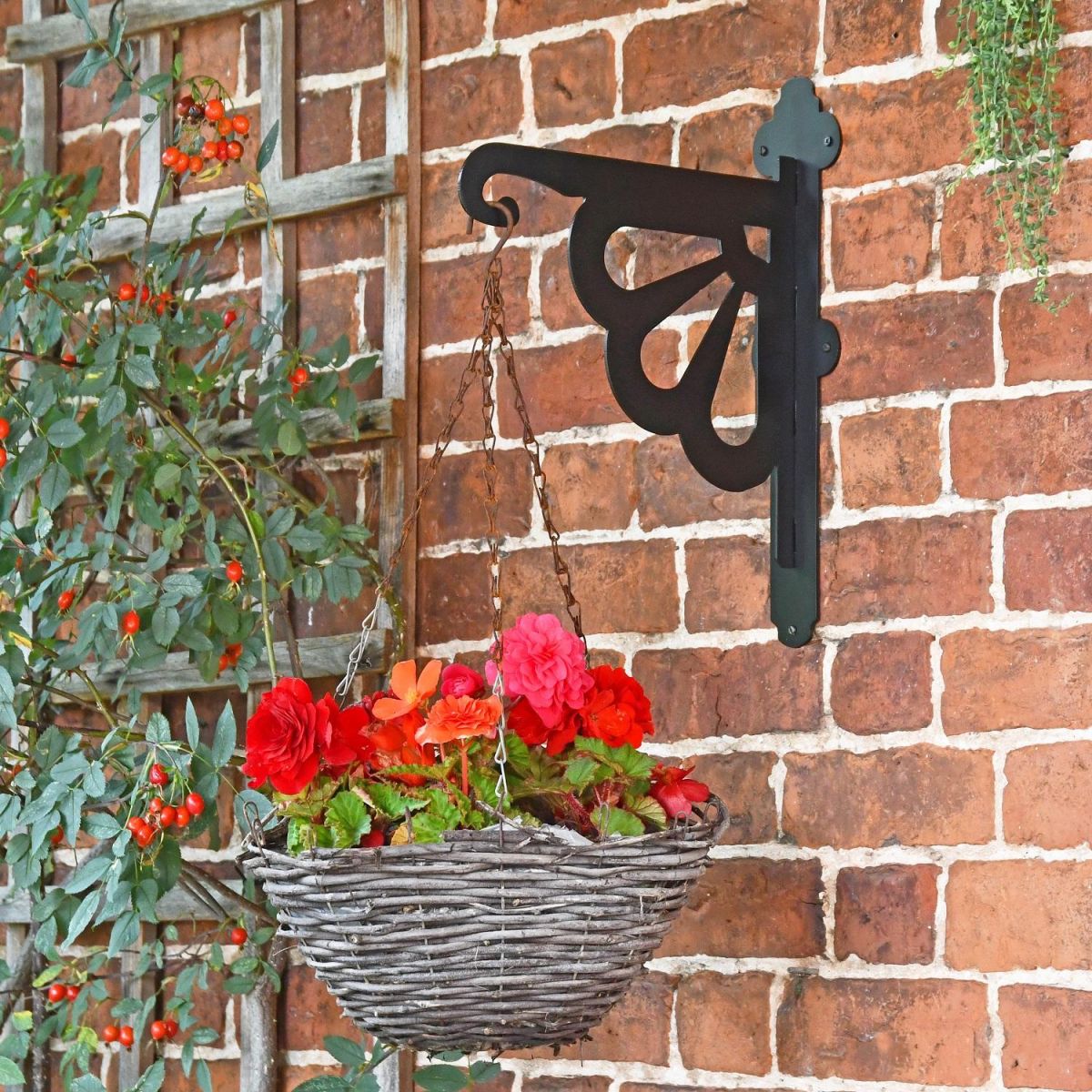 Clam Heavy Duty Hanging Basket mounted to wall