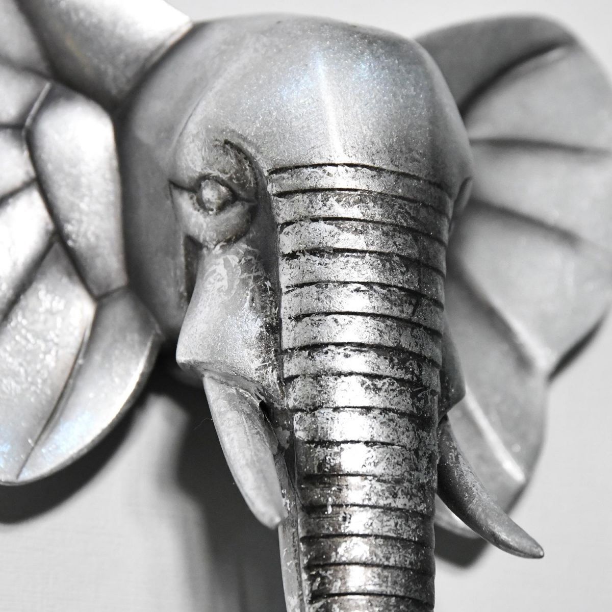 Close up of elephant head 