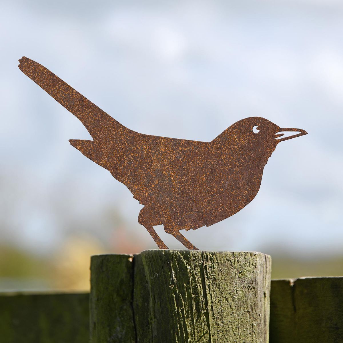 Blackbird Fence Topper in Situ