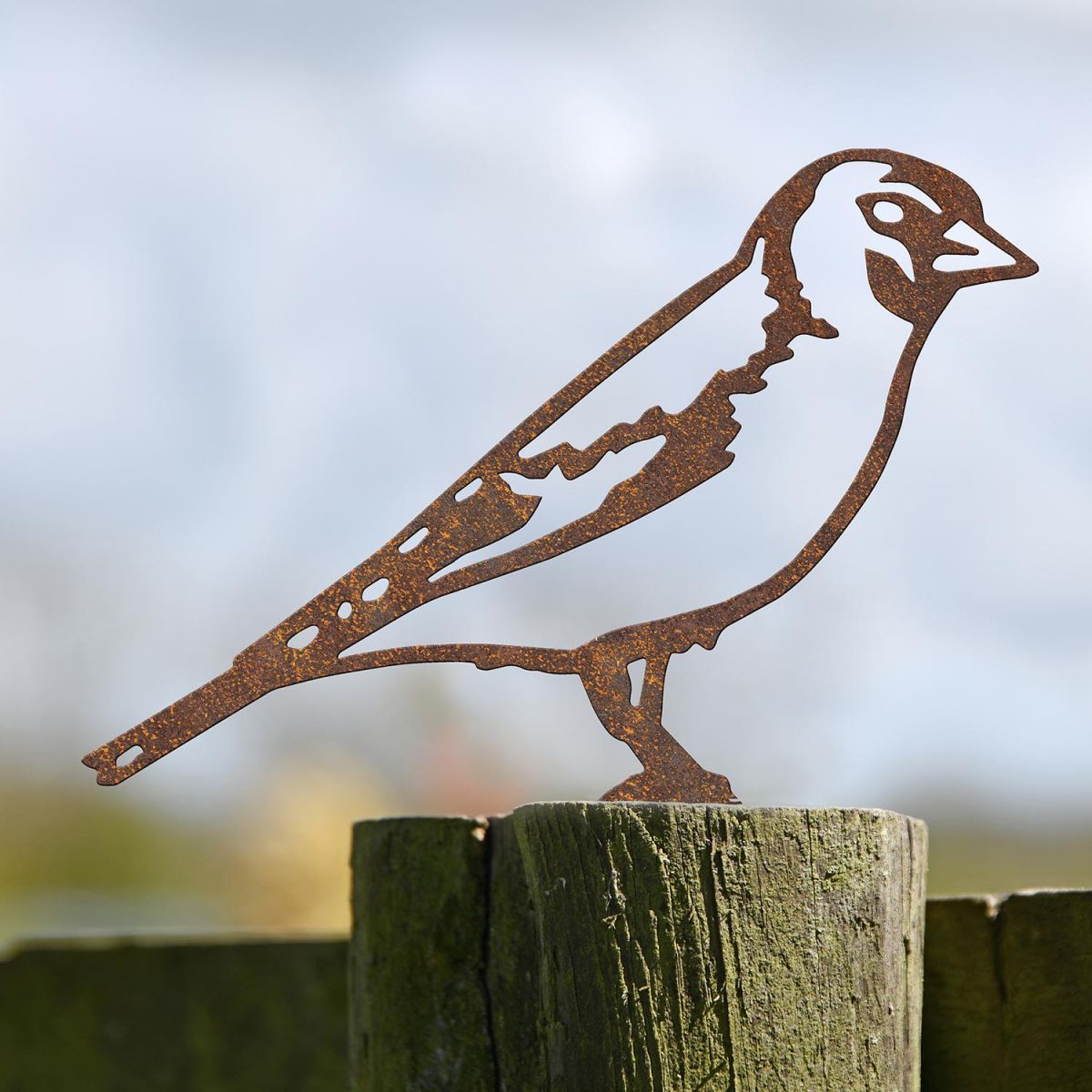 Goldfinch Fence Topper in Situ Outside