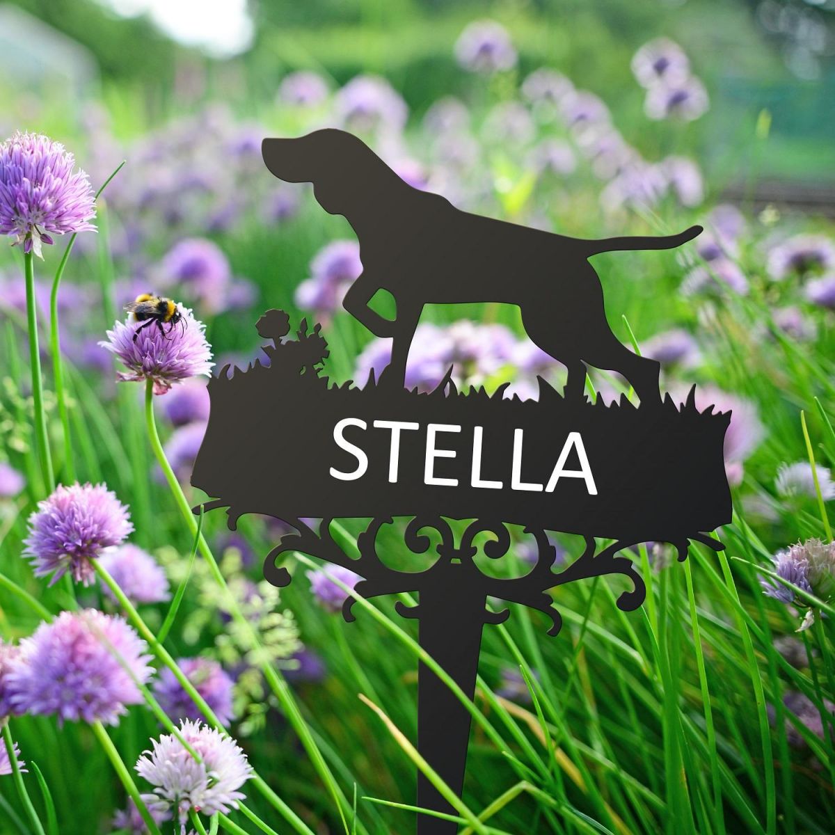 German Shorthaired Pointer Spike with Personalisation