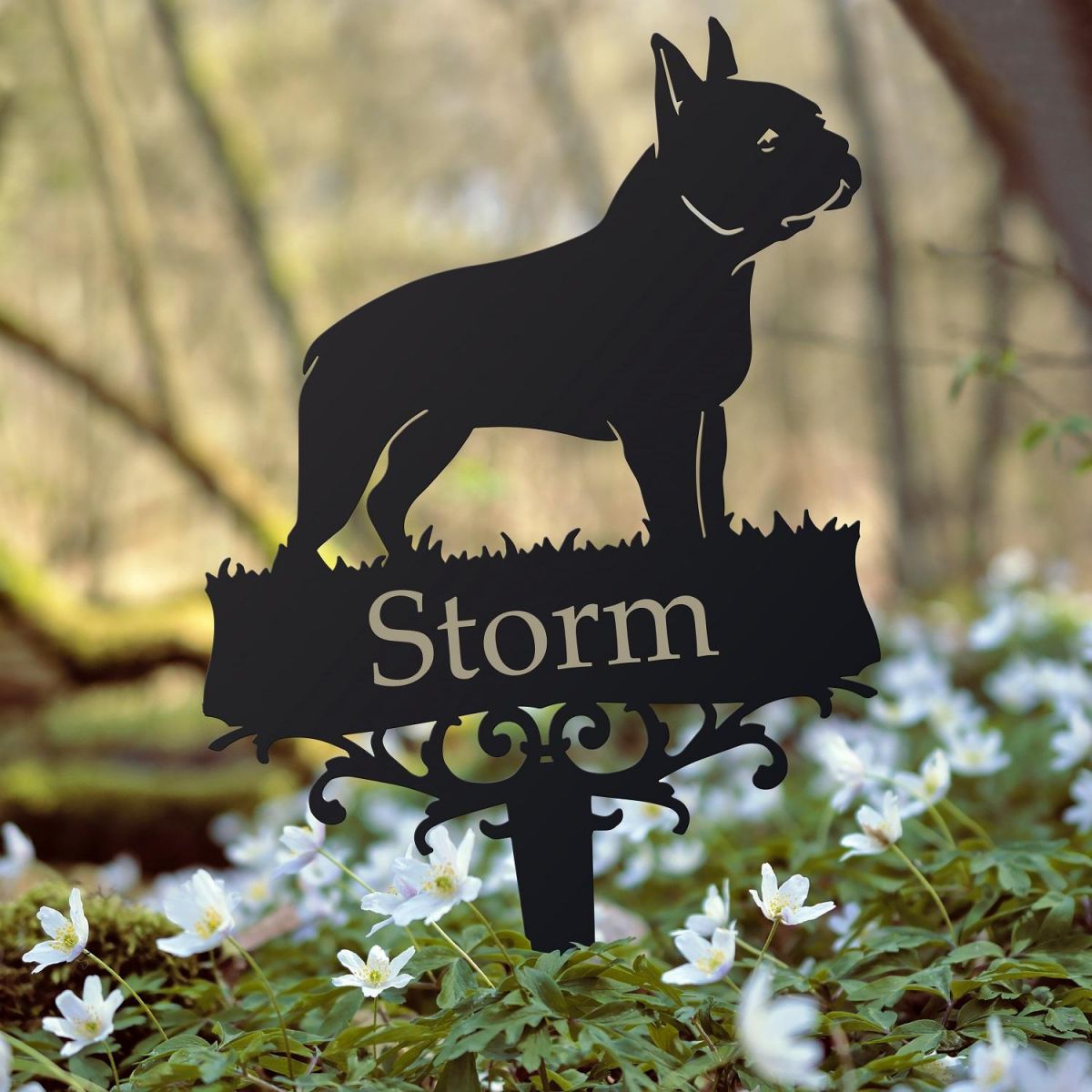 Boston Terrier Memorial Ground Spike in Situ