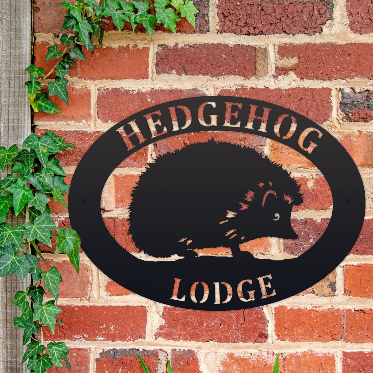 Hedgehog House Name Sign on Wall 