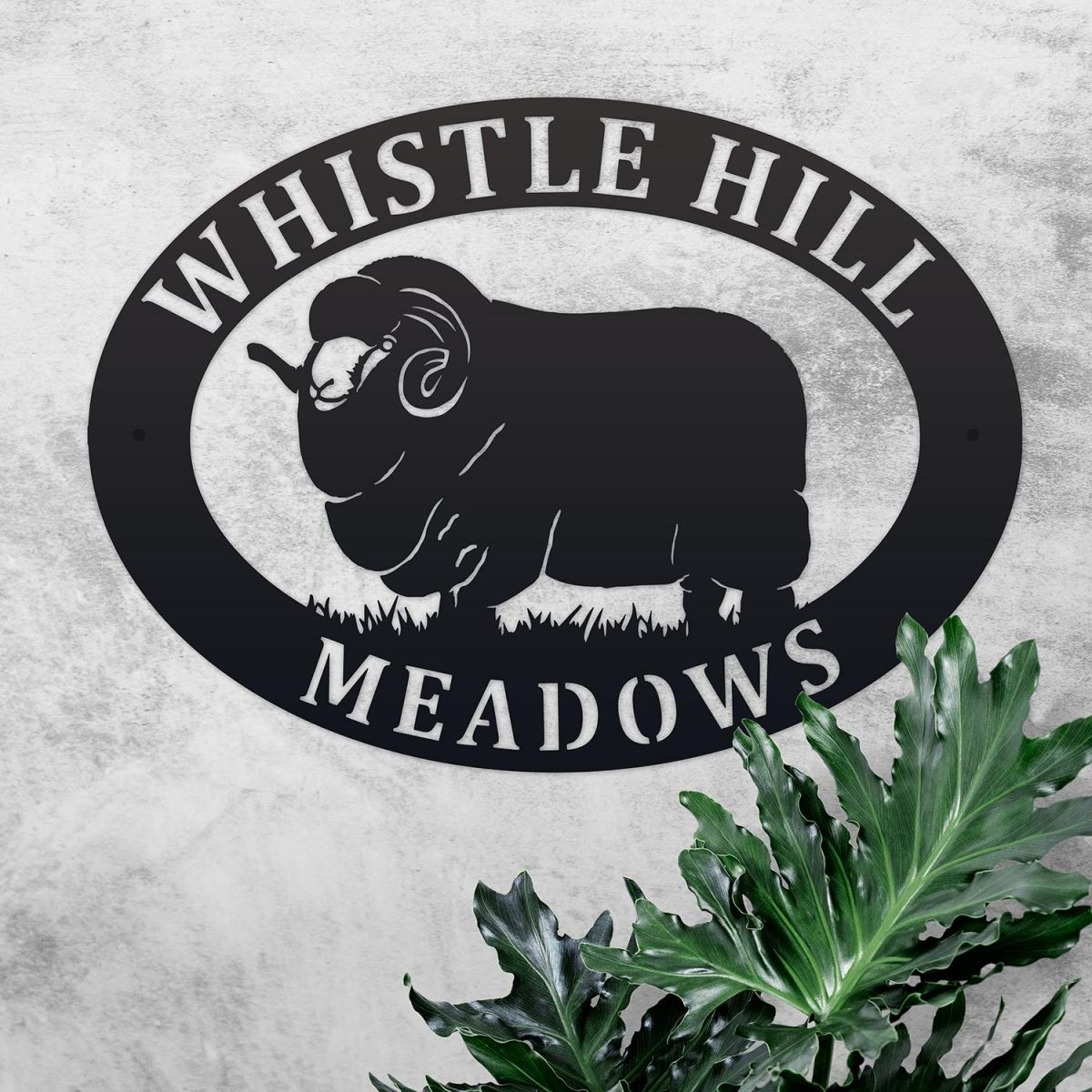 Merino Sheep Iron Oval House Sign in Situ