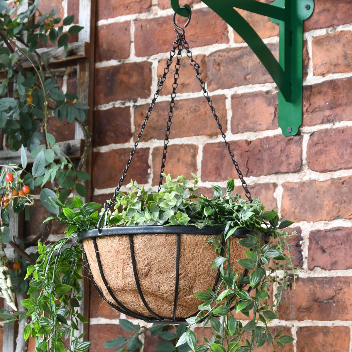 16" Iron Hanging Basket 