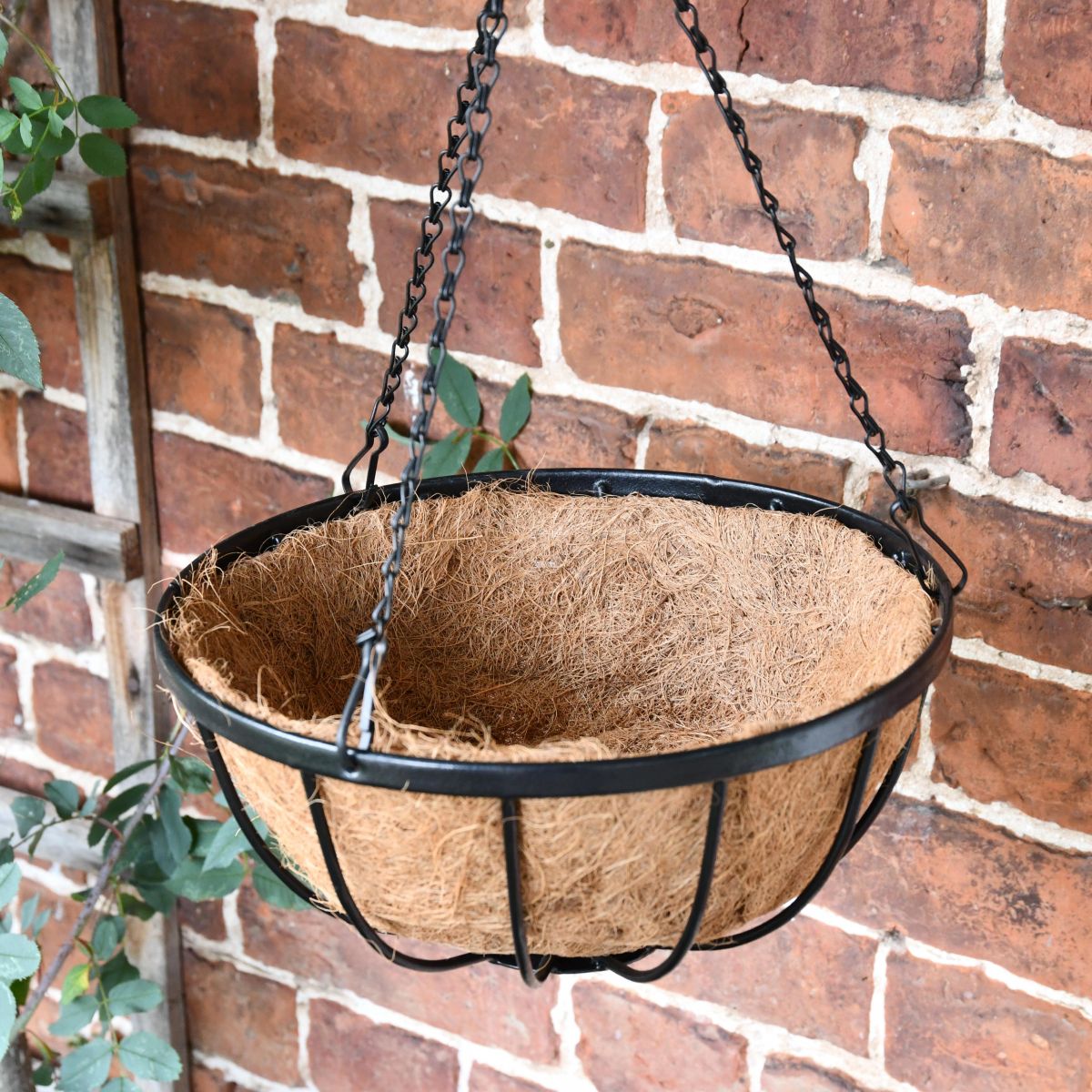 Hanging Basket 
