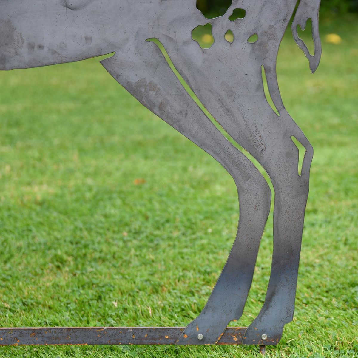 Silver Fallow Stag Silhouette close up of back legs