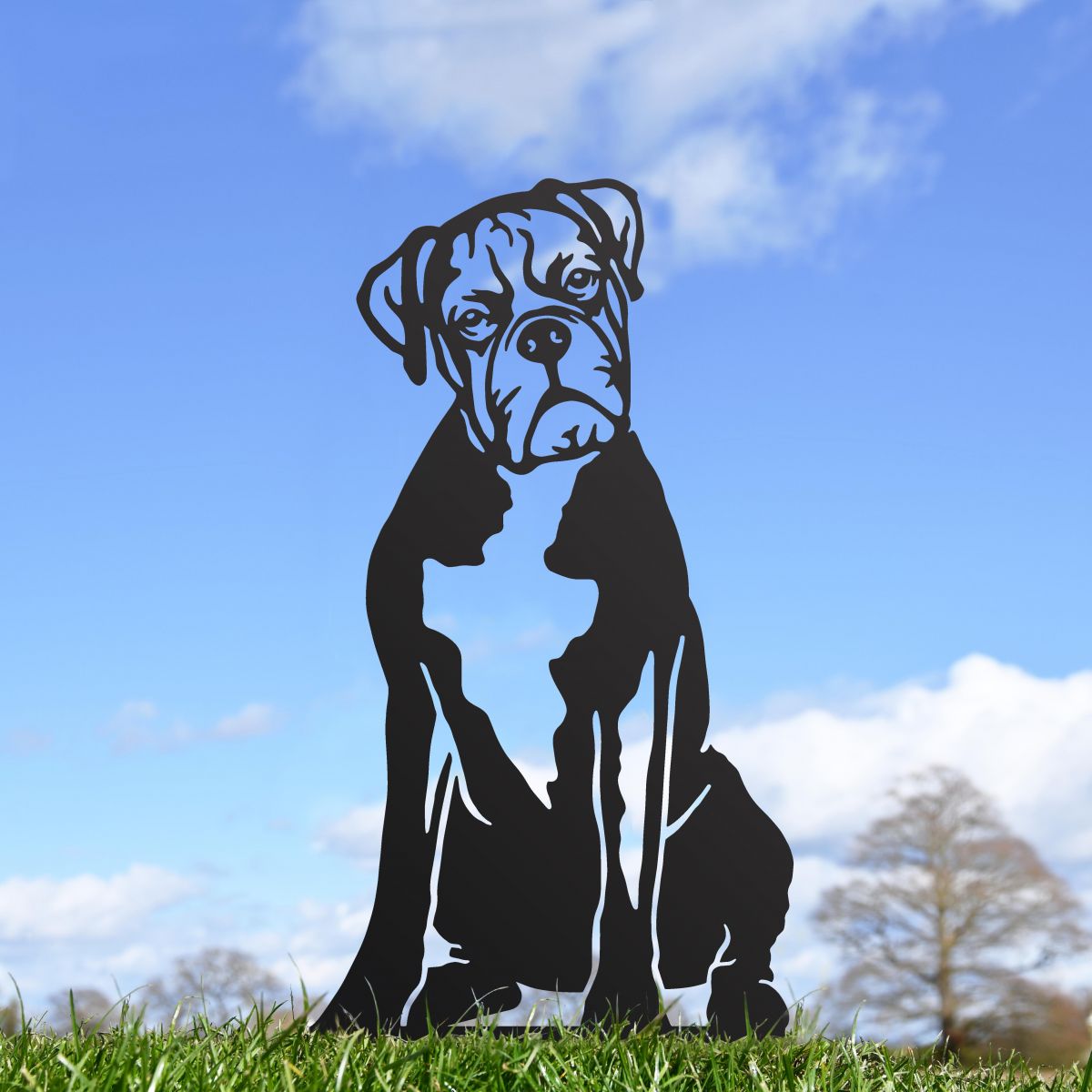 Black Boxer Silhouette Outside
