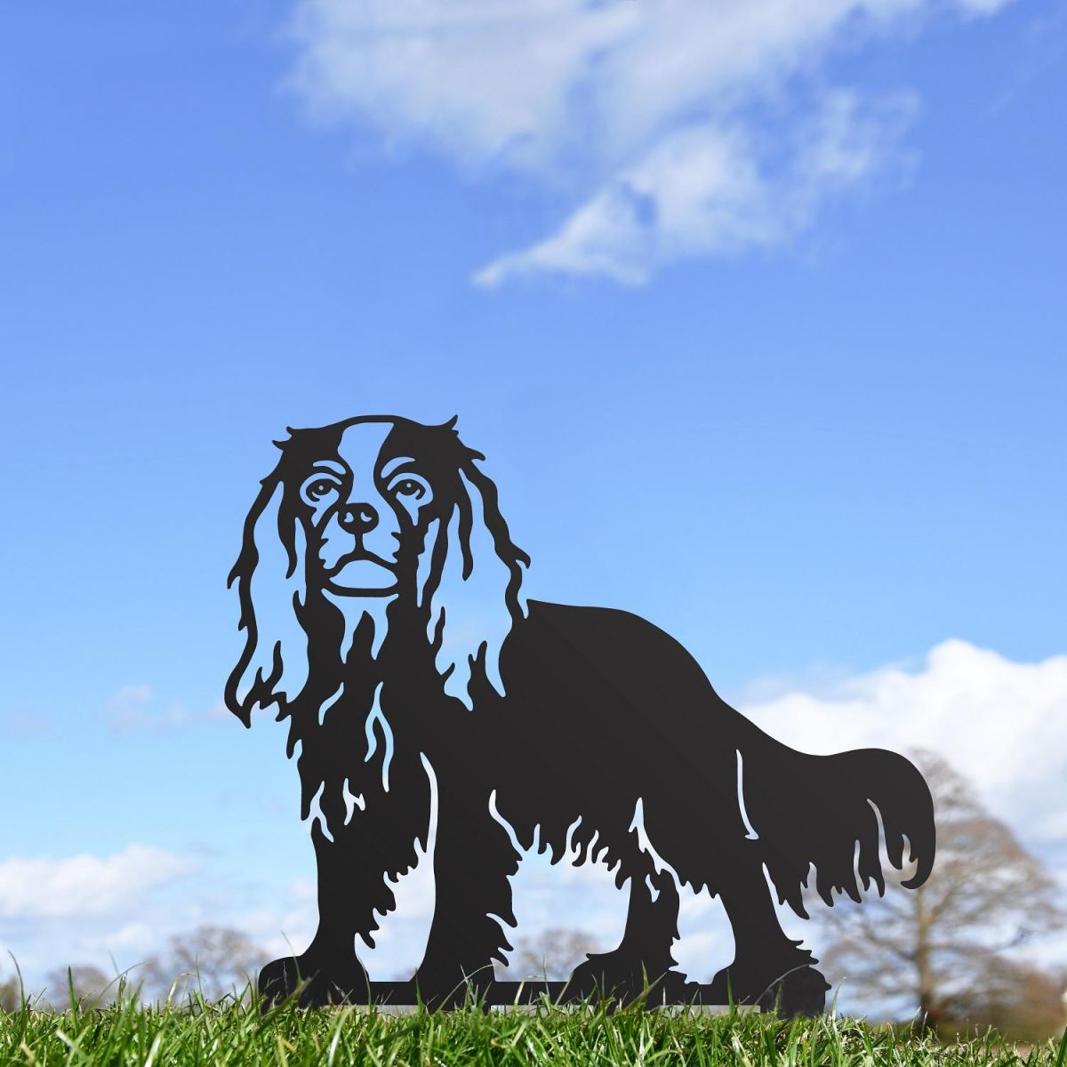 Black Cavalier King Charles Spaniel Silhouette Outside