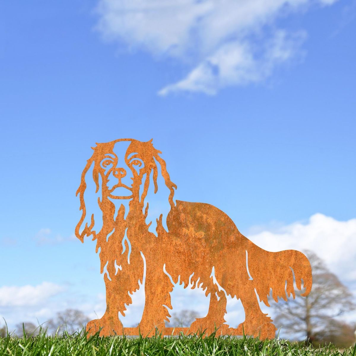 Rustic Cavalier King Charles Spaniel Silhouette in Outside Setting 