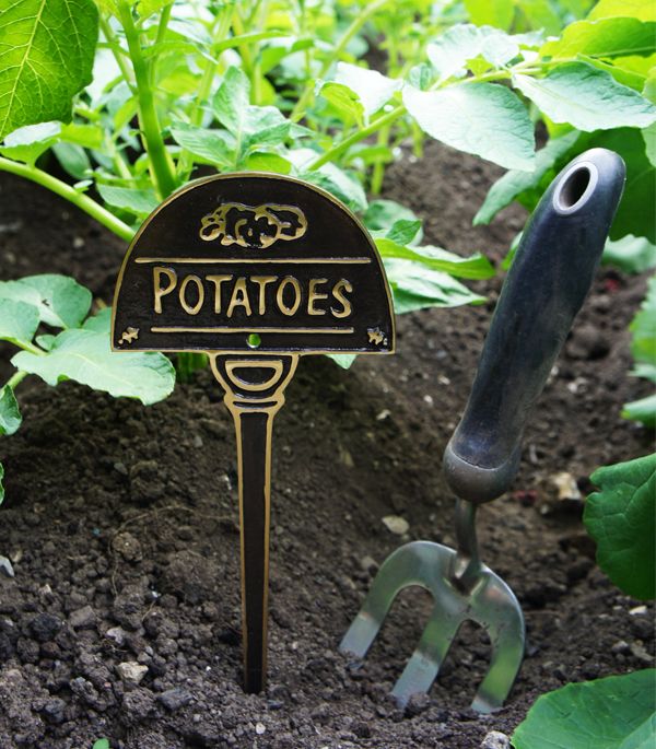 Vegetable Label - Potatoes