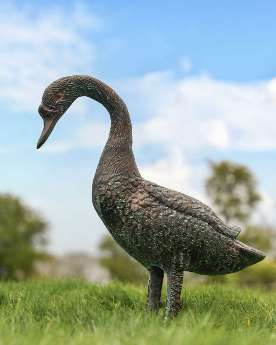 Verdigris Swan Facing Down Full View